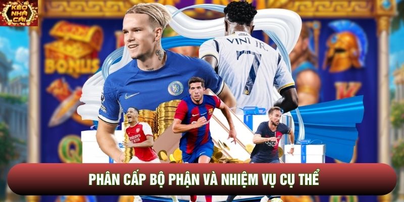 Phân cấp bộ phận và nhiệm vụ cụ thể