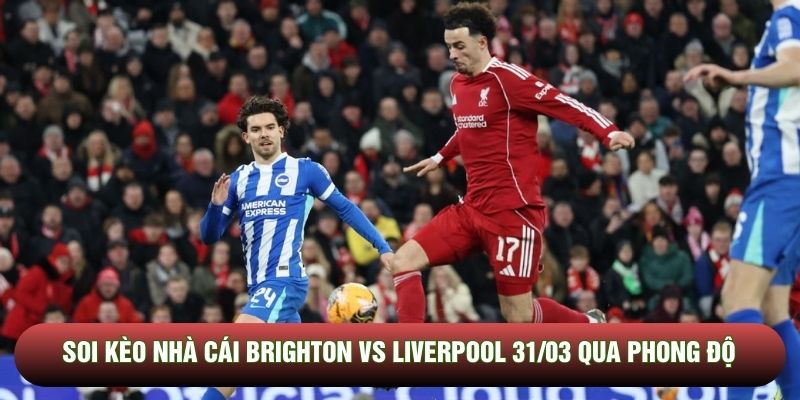 Soi kèo nhà cái Brighton vs Liverpool 31/03 qua phong độ