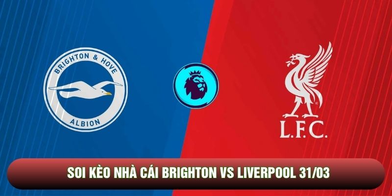 Soi kèo nhà cái Brighton vs Liverpool 31/03 - Ngoại hạng Anh