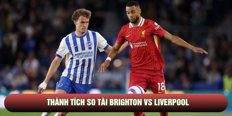 Thành tích so tài Brighton vs Liverpool